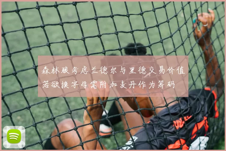 森林狼考虑兰德尔与里德交易价值若欲换字母需附加麦丹作为筹码