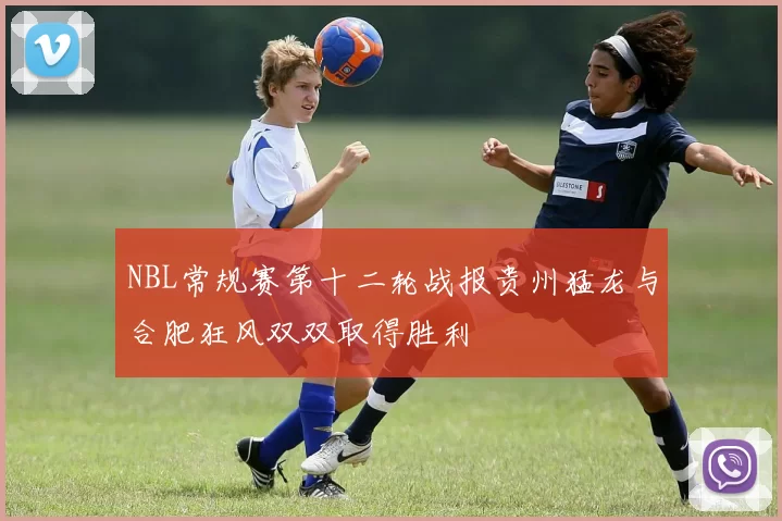 NBL常规赛第十二轮战报贵州猛龙与合肥狂风双双取得胜利