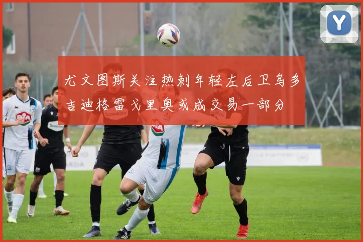 尤文图斯关注热刺年轻左后卫乌多吉迪格雷戈里奥或成交易一部分